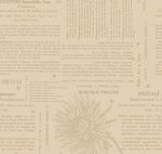Neighborhood Florist by Dawn Heese for Marcus Fabrics R520610 Cream Text. 