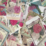 Ode To June For Clothworks Seed Packets Y3505-74 Raspberry.