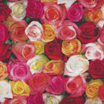 One Of A Kind Digital by Whistler Studios for Windham Fabrics 50906-X Roses . 