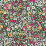 Plentiful by Katarina Rocella for AGF Blooming Prairie Allium PLE86105.