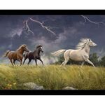 Riley Blake Wild Horses Digital Panel 36" x 42" C15534 Storm On The Prairie.