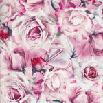 Rose Relief From Michael Miller Fabrics DCX10066-Peta-D.