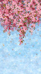 Sakura Blooms by Hoffman Spectrum Panel 26" x 42" S#W5368 448 Blossom.