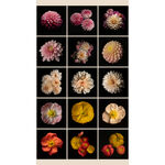 Shadow & Elegance by Leah McLean RJR Panel 24" x 42" LL102-ST1D Dahlias/Poppies.