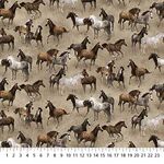 Stonehenge Frontier by Northcott Fabrics 25182-14 Tan Multi Small Horses.