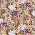 Teacup Kitty by Timeless Treasures Digital Patt. CAT-CD3579 Packed Princess Kitt