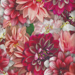 Tina's Garden By Leto For Clothworks Fabrics Y3677- 39 Coral.