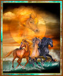 Wild Horses by QT Fabric Panel 37" x 42" Digital Horses 1649-29771-X.