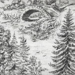 Woodland Forest French Toile 8036 Color 009 White/Black.