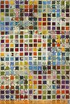 Cabinet Of Curiosity by Marcia Derse for Windham Fabrics 51956D-X Field Guide.